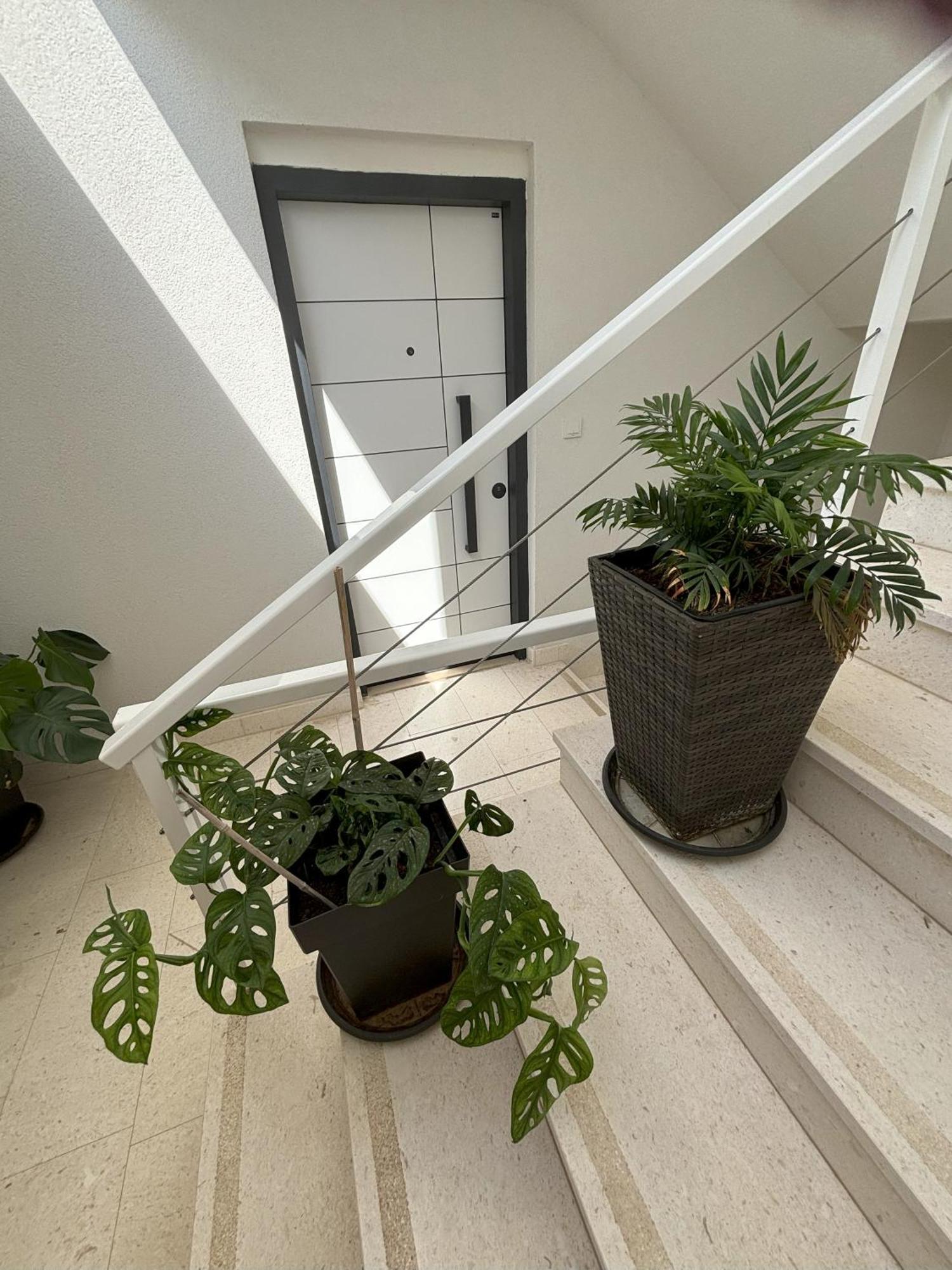 Vila Regina Apartment Rex With Swimming Pool Jezera Exterior foto